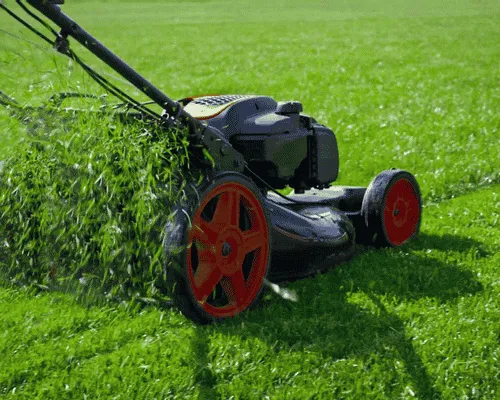 Lawn Installation Lansing