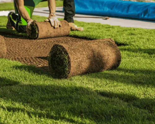 Commercial Grounds Maintenance Lansing