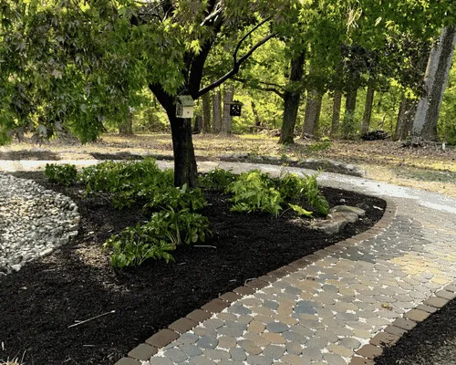 Lawn Aeration Lansing