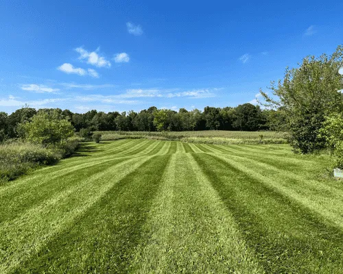 Lawn Aeration Lansing