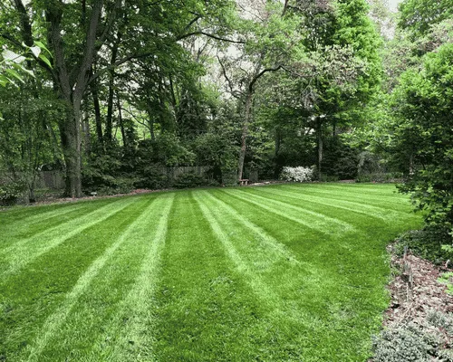 Mulch Installation Lansing