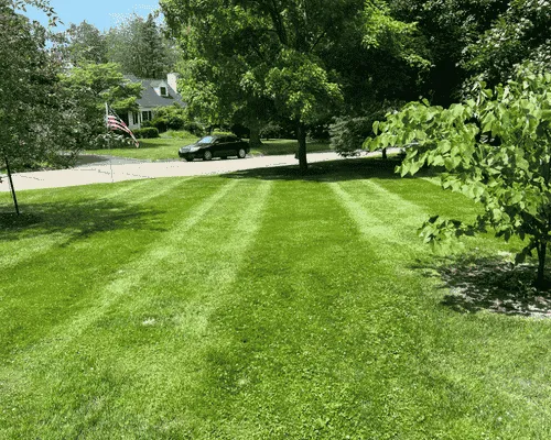 Lawn Installation Lansing