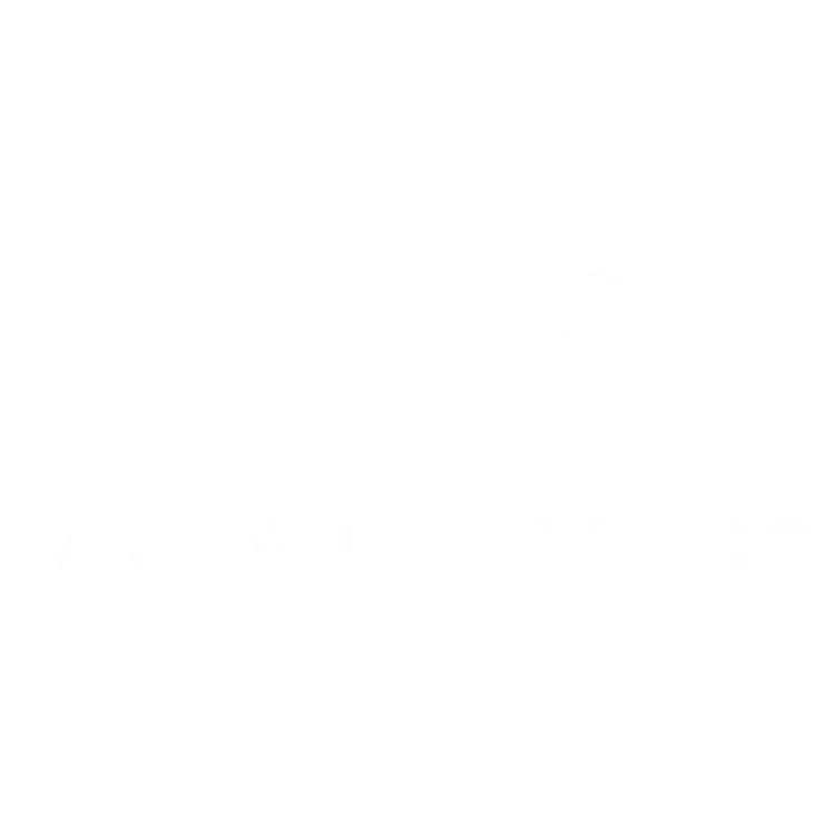 Valor Marketing Studio Logo