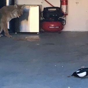 How to Protect Your Car & Garage During Monsoon Season