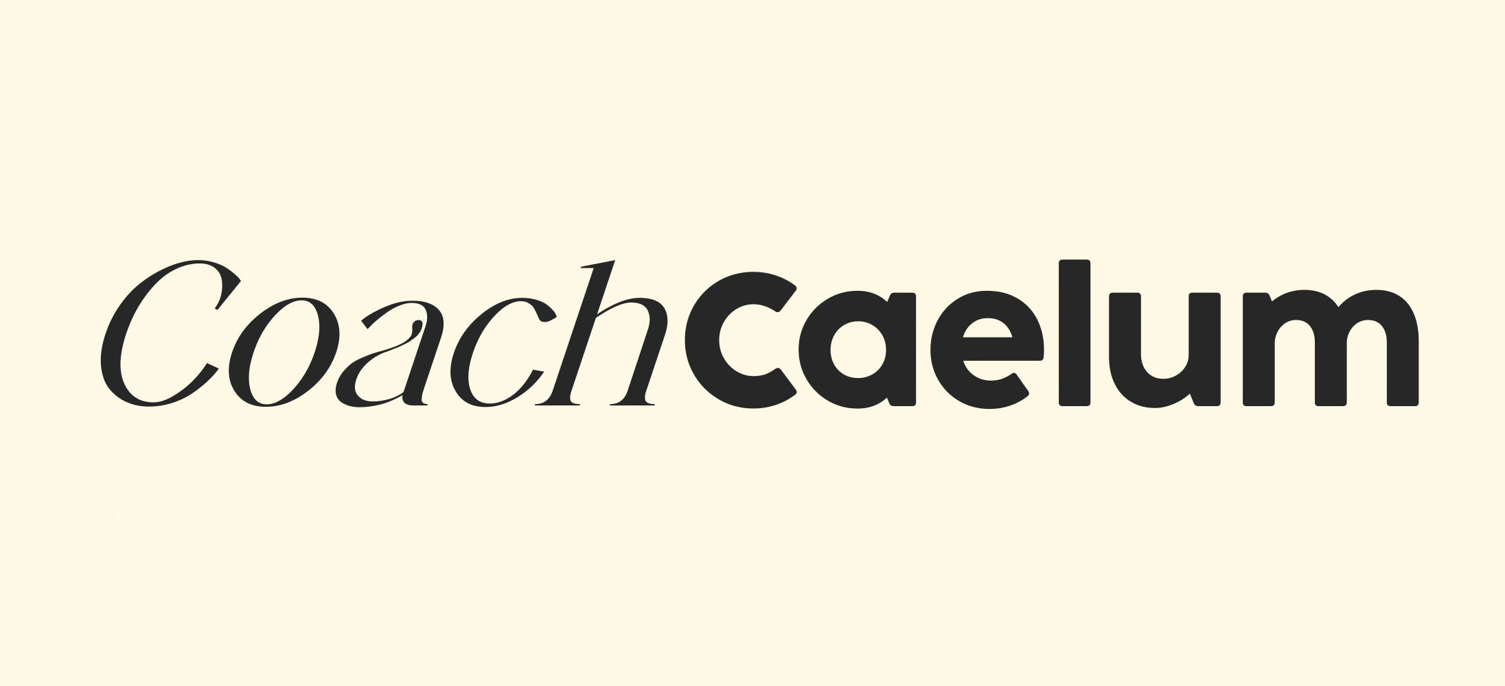 Online Fitness Coaching for Busy Men