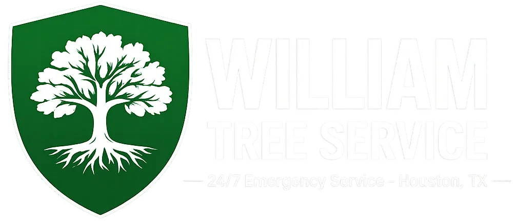 Tree Service Houston, TX