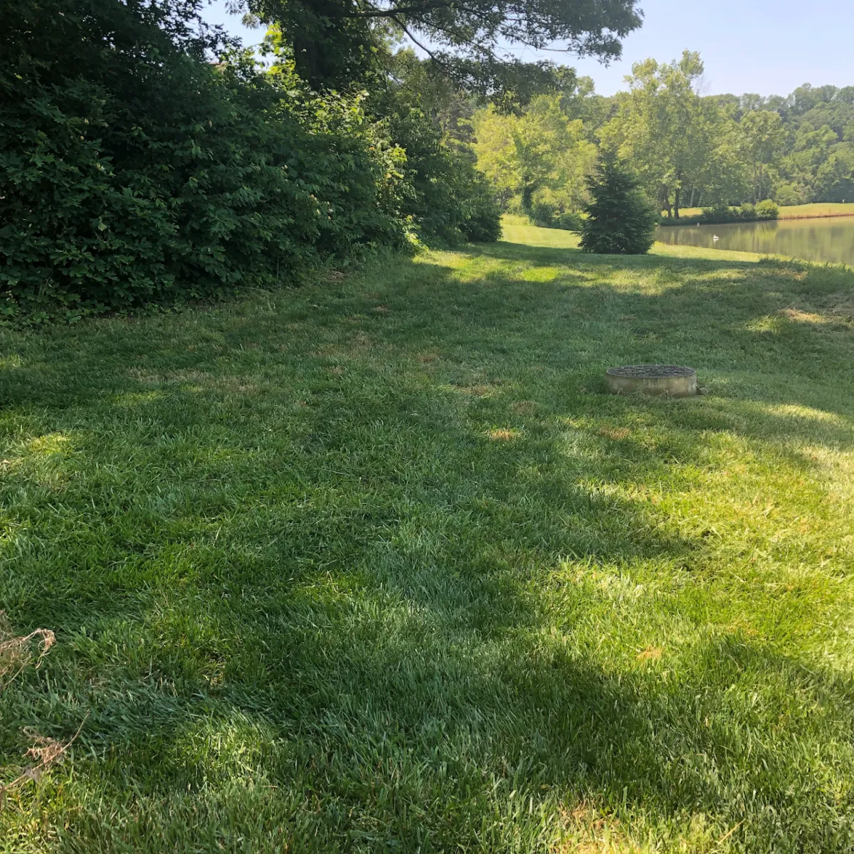 Aeration & Overseeding 