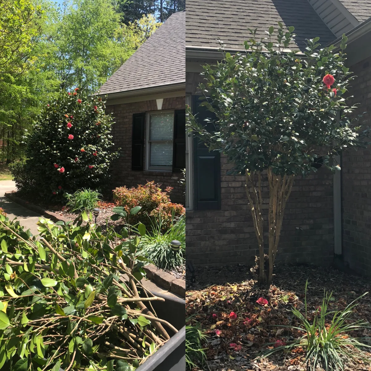 Fertilization & Weed Control Salisbury, NC