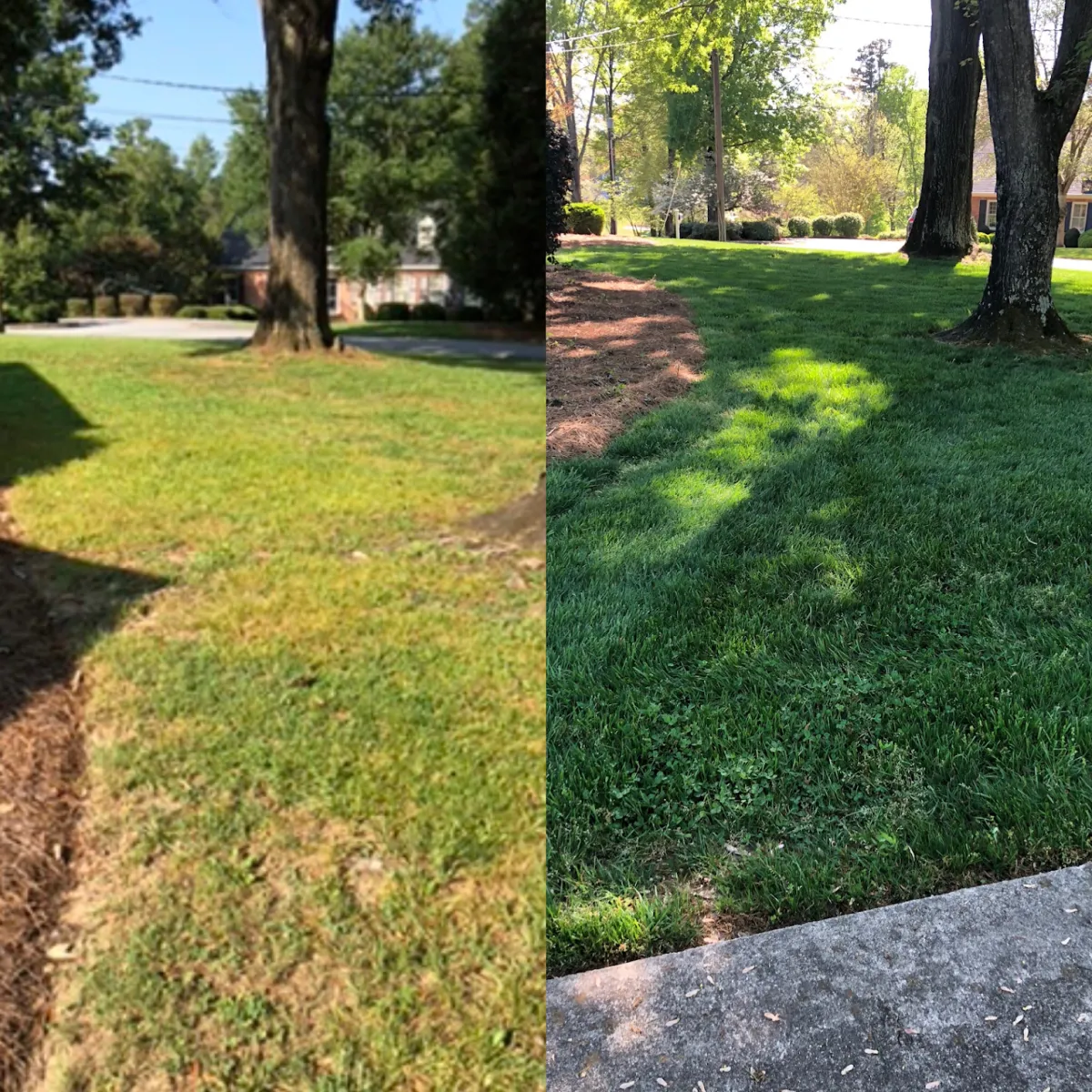 Lawn Mowing & Maintenance Salisbury, NC