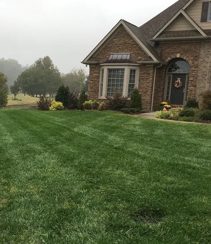 Lawn Mowing & Maintenance 