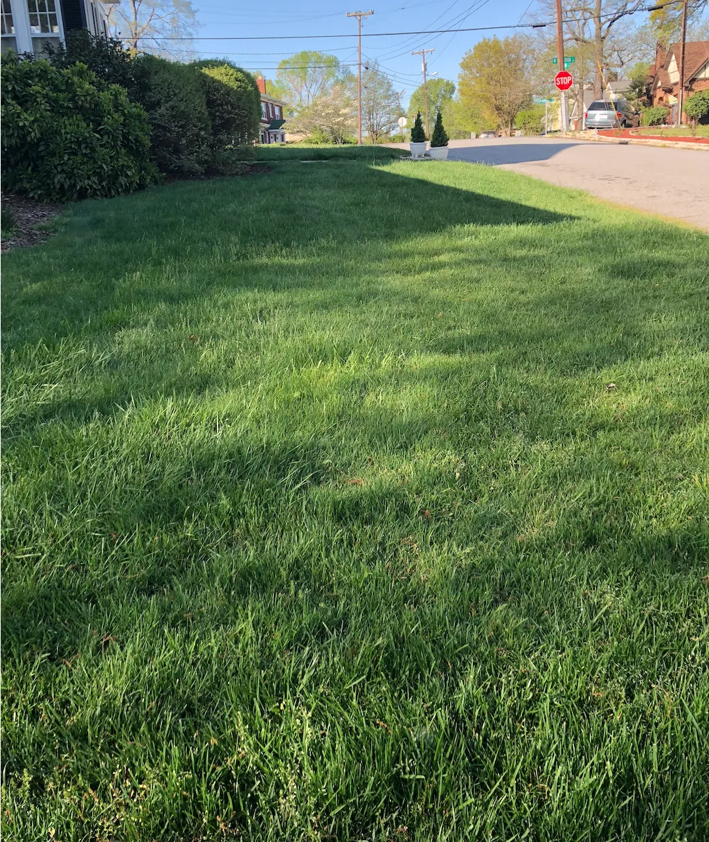 Lawn Mowing & Maintenance Salisbury, NC