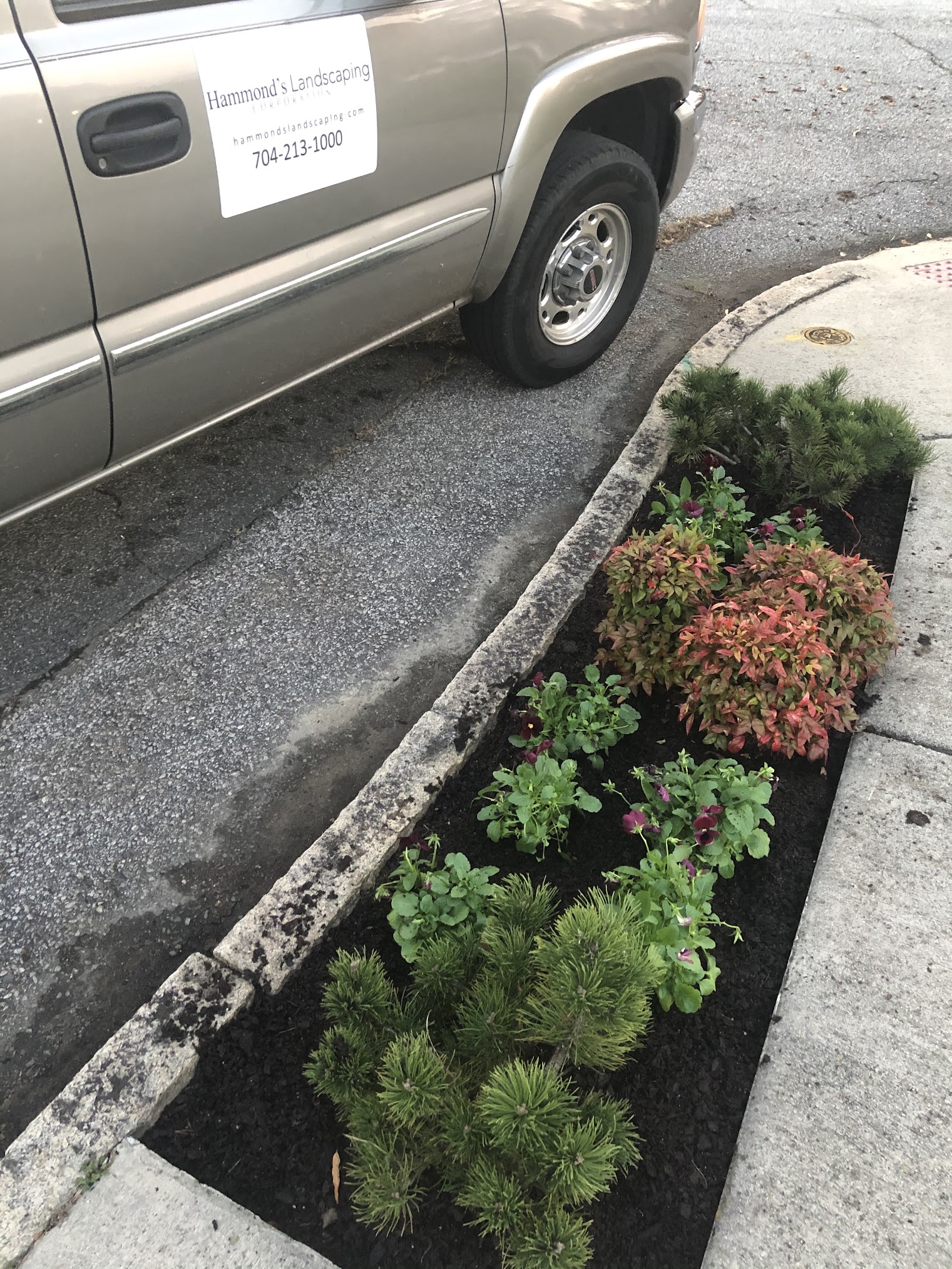Lawn Care Services Salisbury, NC