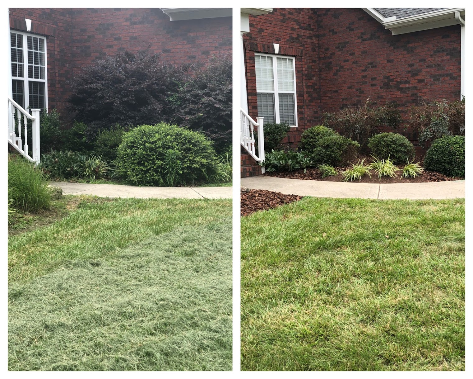Lawn Care Services Salisbury, NC