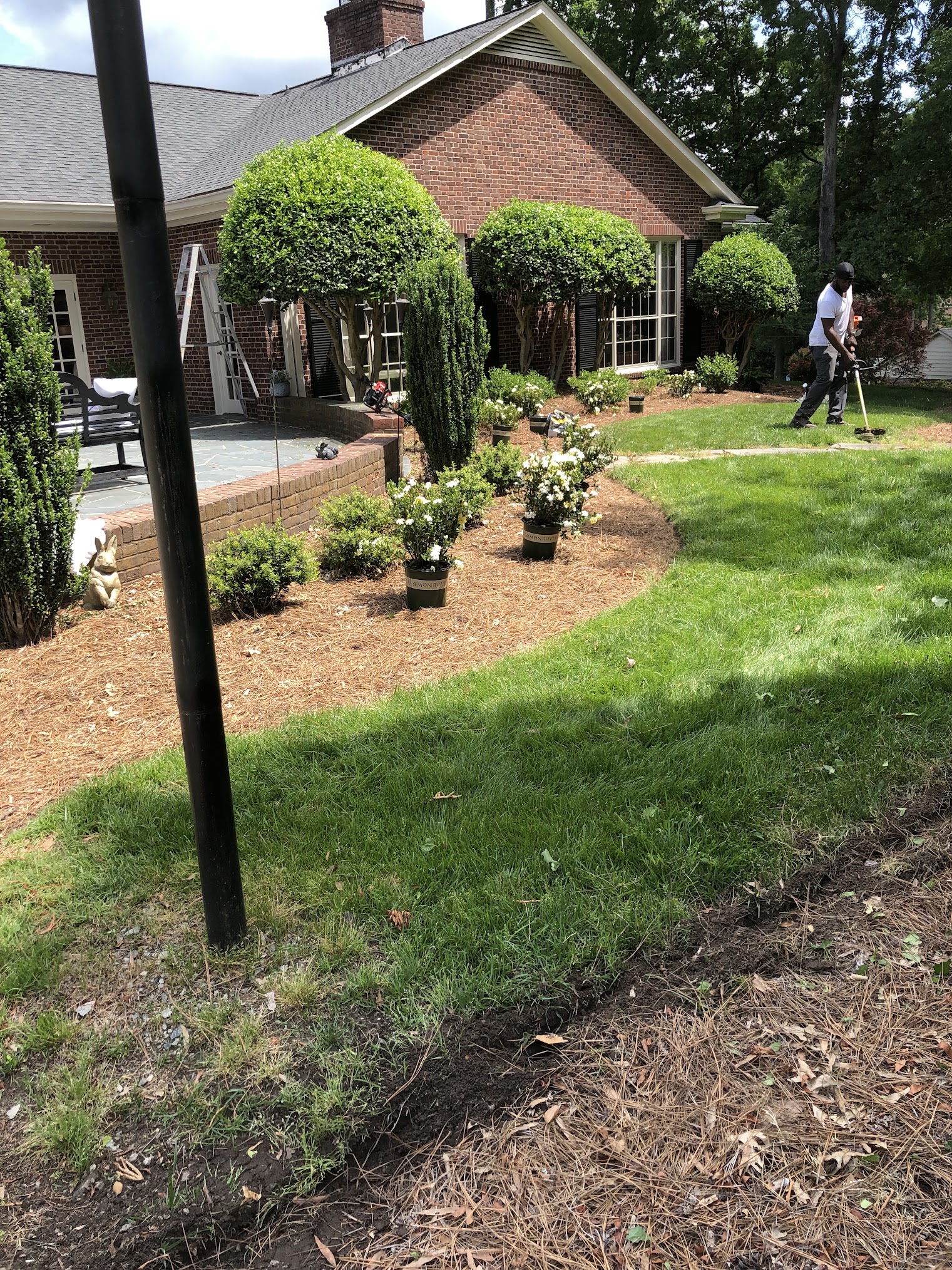 Lawn Care Services Salisbury, NC