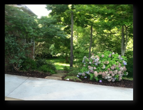 Fertilization & Weed Control Salisbury, NC
