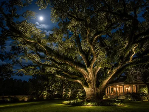 Concord, NC Landscape Lighting Installation