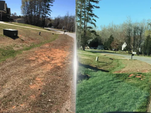 Lawn Care Services Salisbury, NC