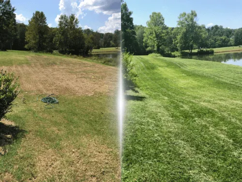 Aeration & Overseeding Salisbury, NC