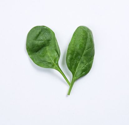 gemuese-offensive-babyspinat- evakristandl