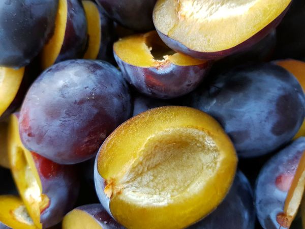 Nuss-Hirse mit Zwetschkenkompott