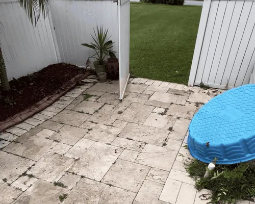 Paver Installation Sarasota