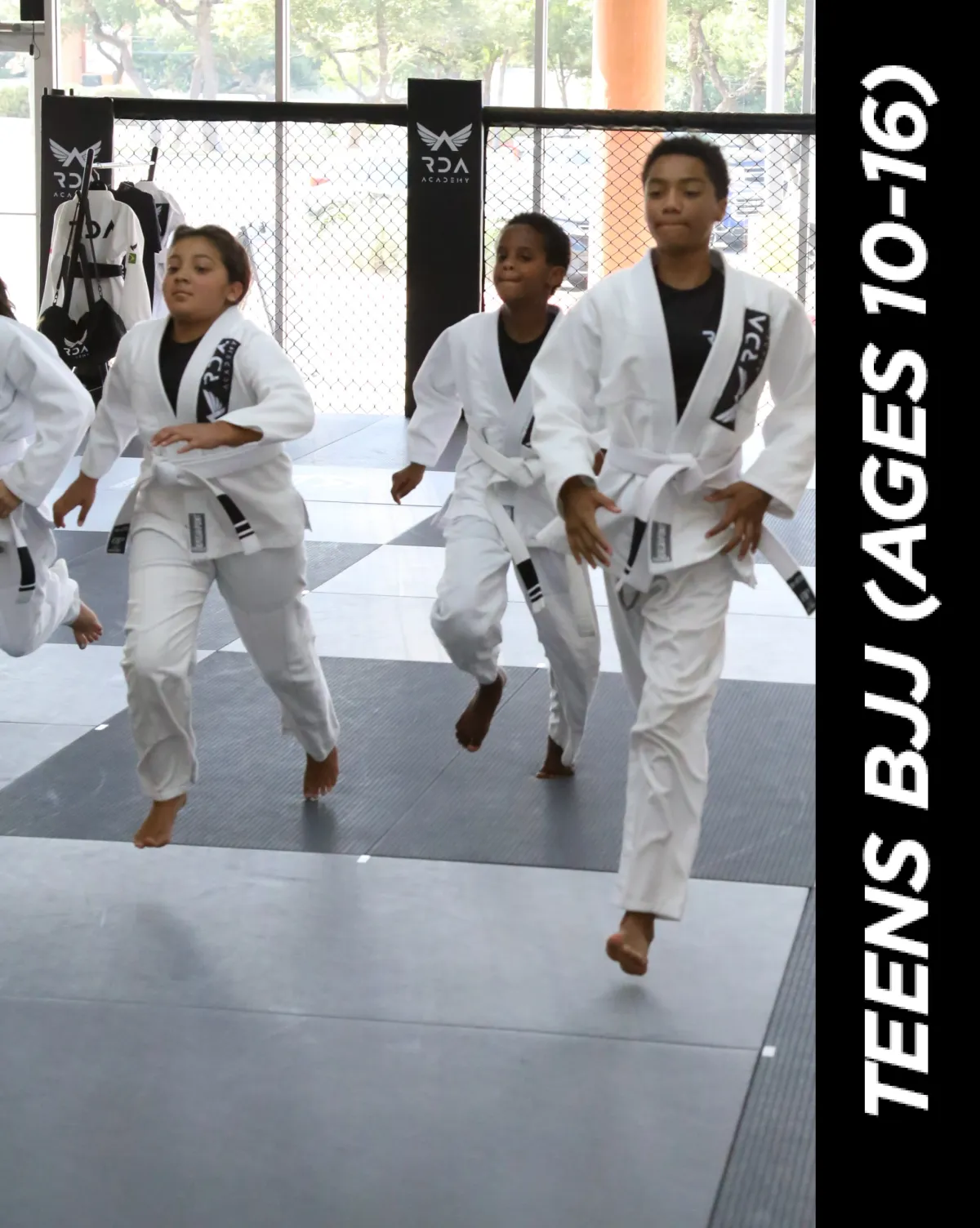 Beginners/Advanced BJJ