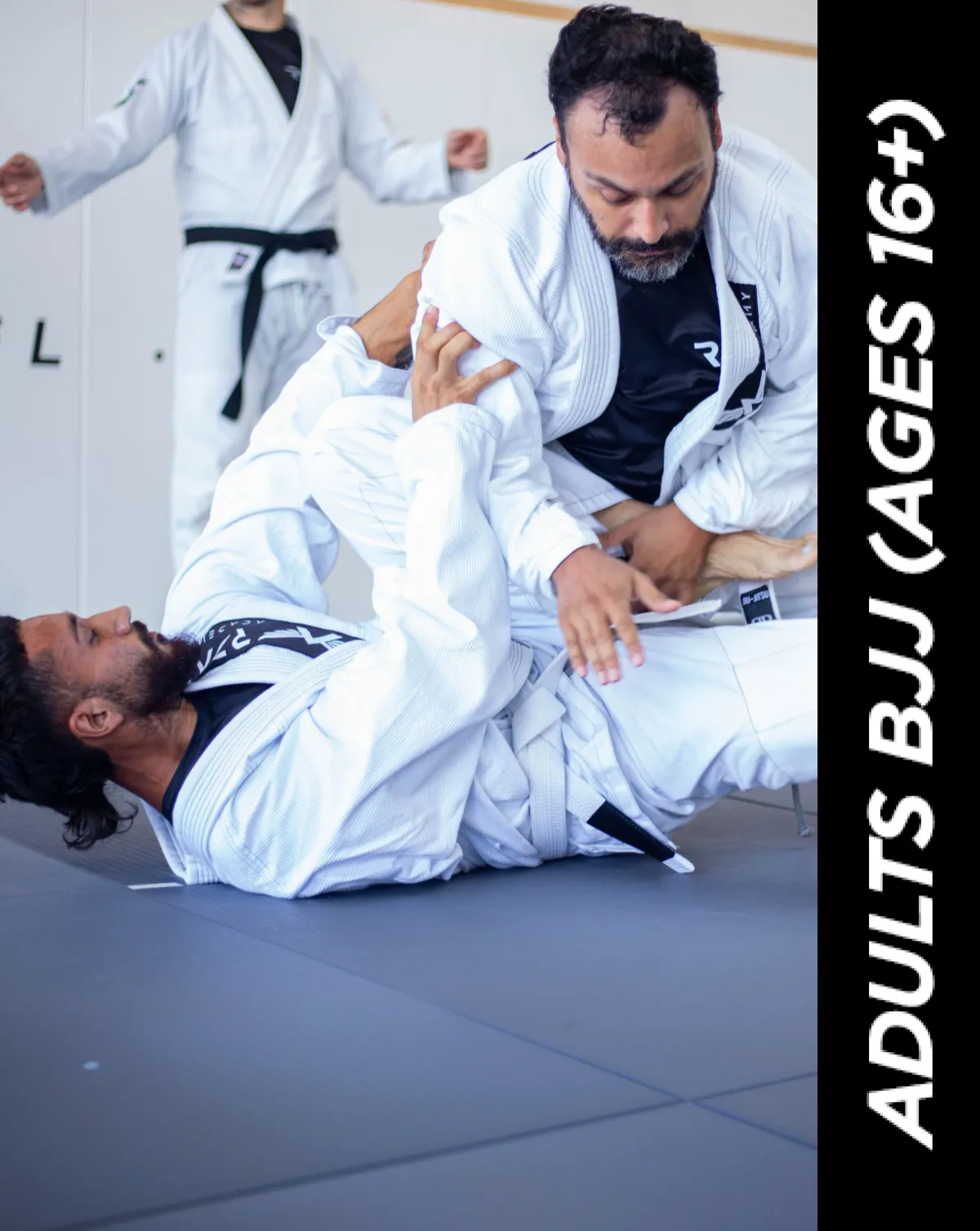Adults Jiu-Jitsu