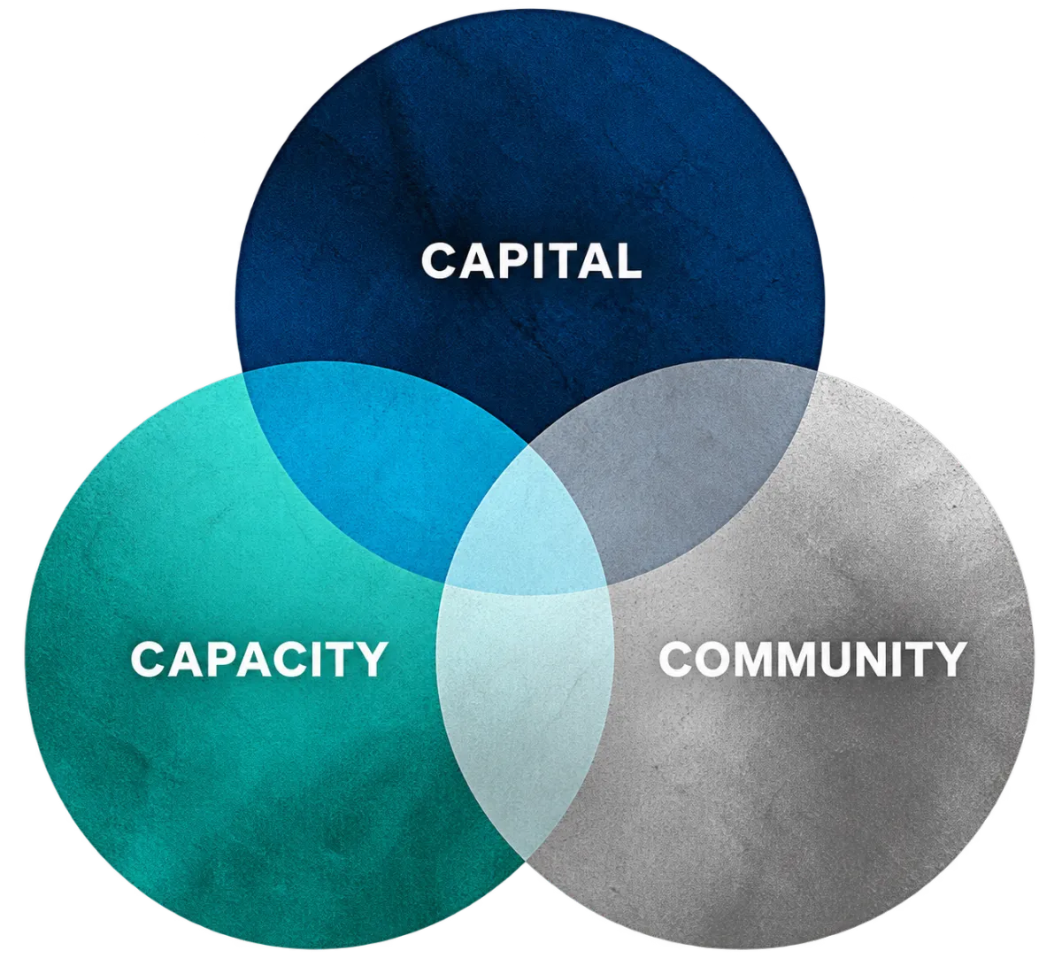 Venture Philanthropy Blueprint Capital Capacity Community model
