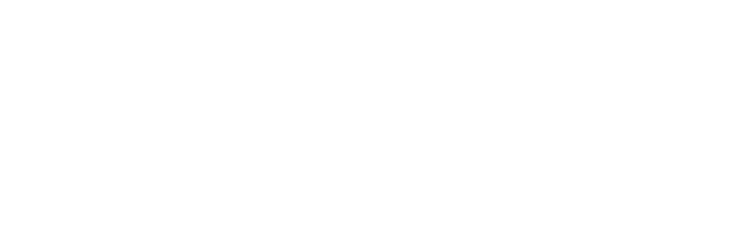 Precision Jiu-Jitsu Spring Mount Logo
