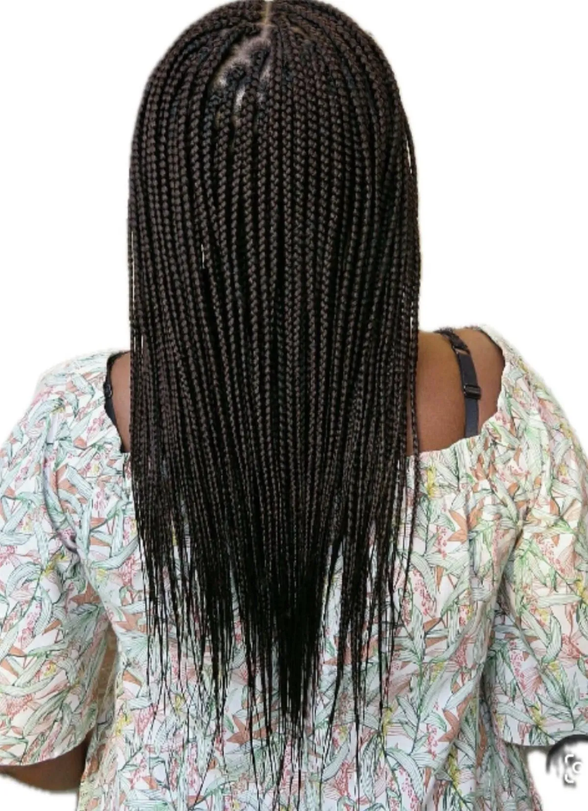 knotless braids