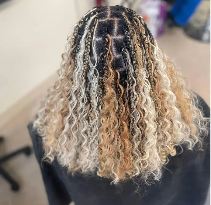 Butterfly braids