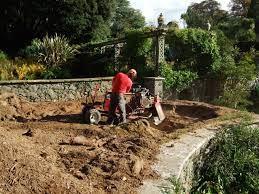 stump grinding ad removal in Norfolk