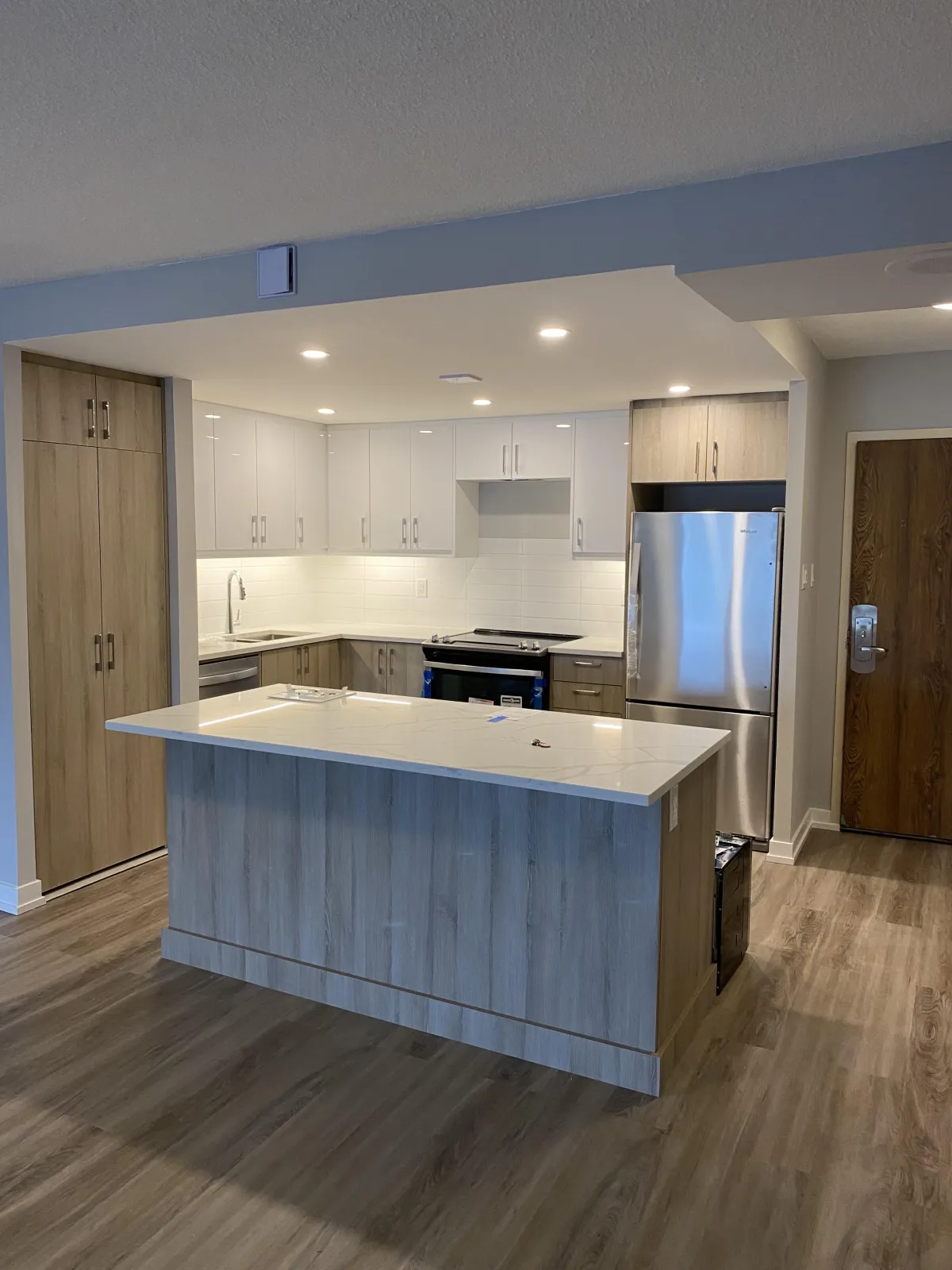 Contemporary kitchen remodel in a Toronto house featuring custom cabinets and quartz countertops.
