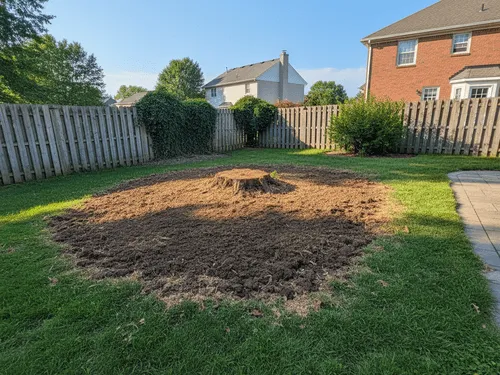Mount Wolf, PA Stump Removal