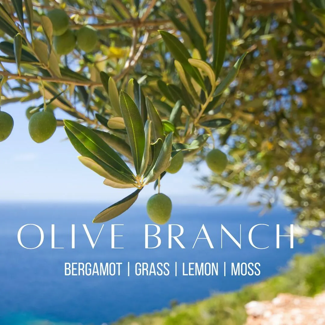 Olive Branch by The Crooked Wick Candle Company