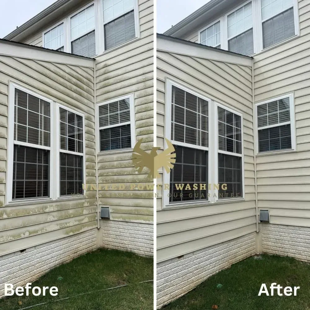 Fauquier County House Washing