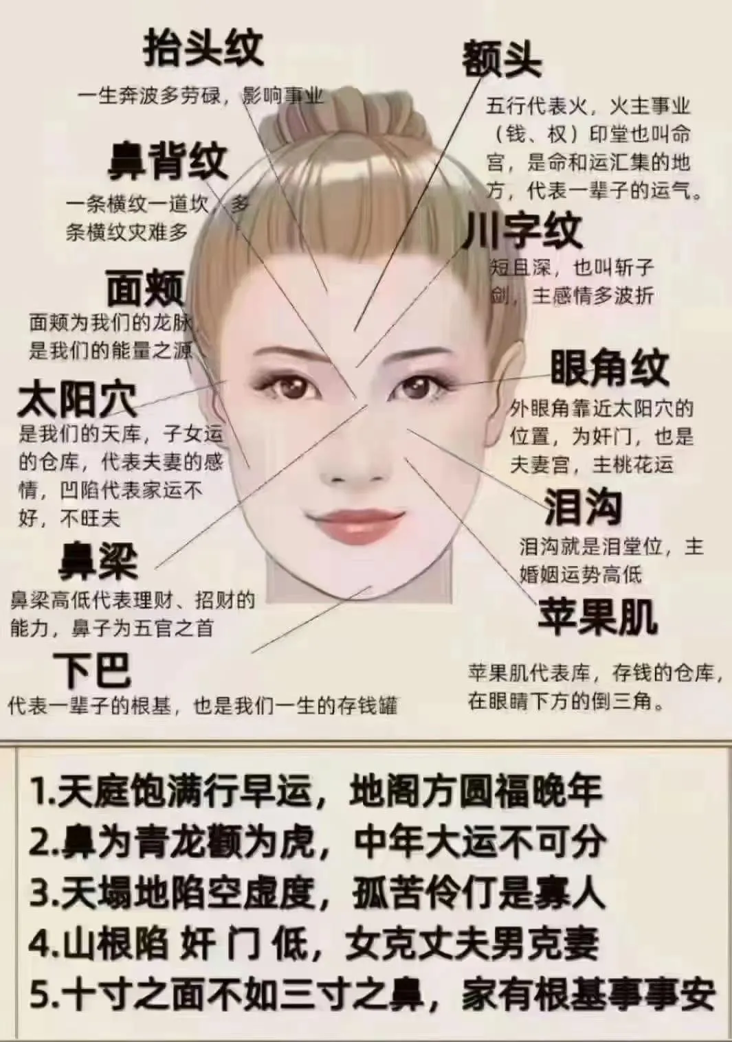 鱼尾纹 抬头纹 法令纹 眼下细纹 木偶纹 脸部凹陷 太阳穴凹陷