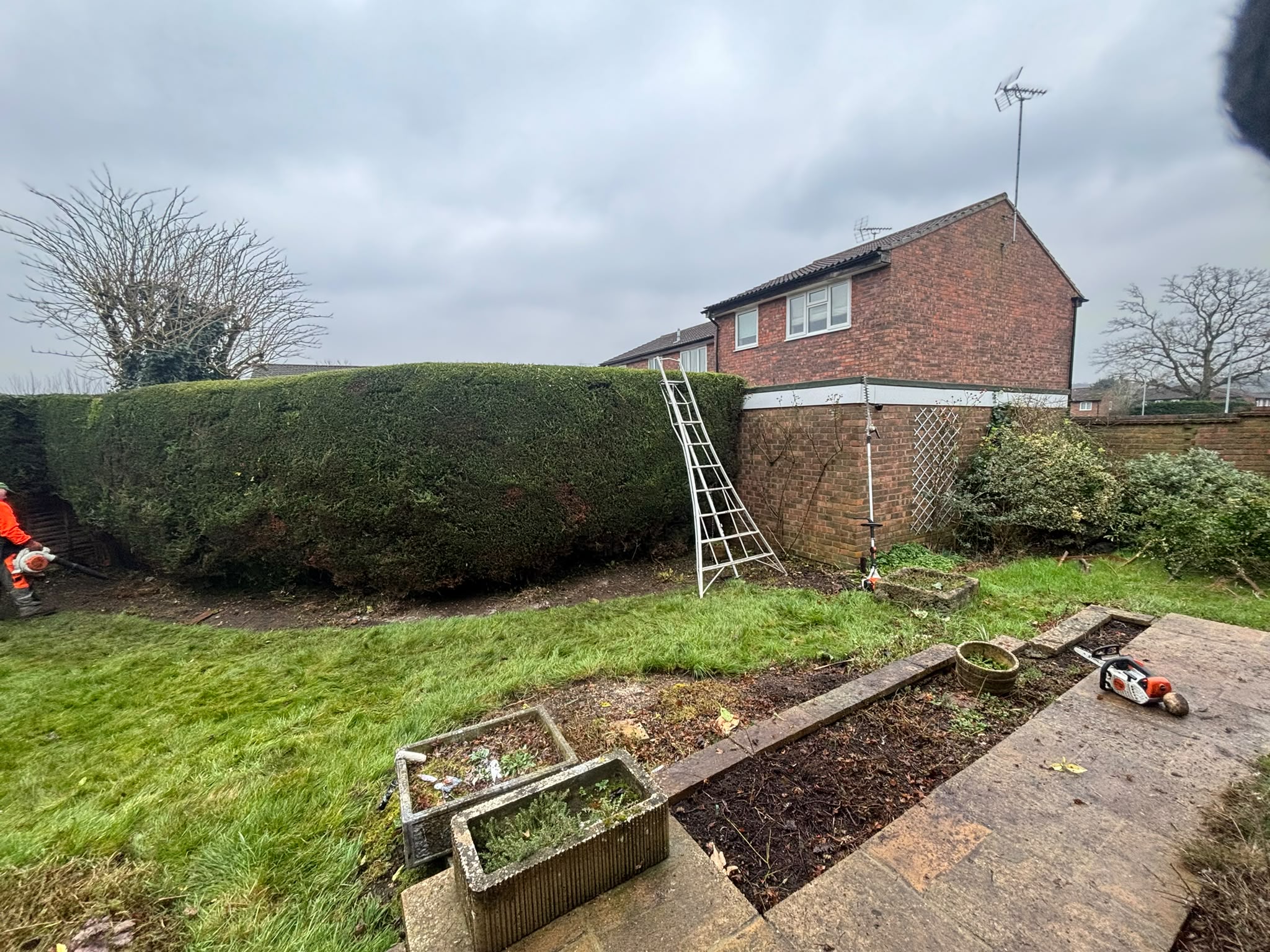Garden clearance in Alton clearing an overgrown back garden