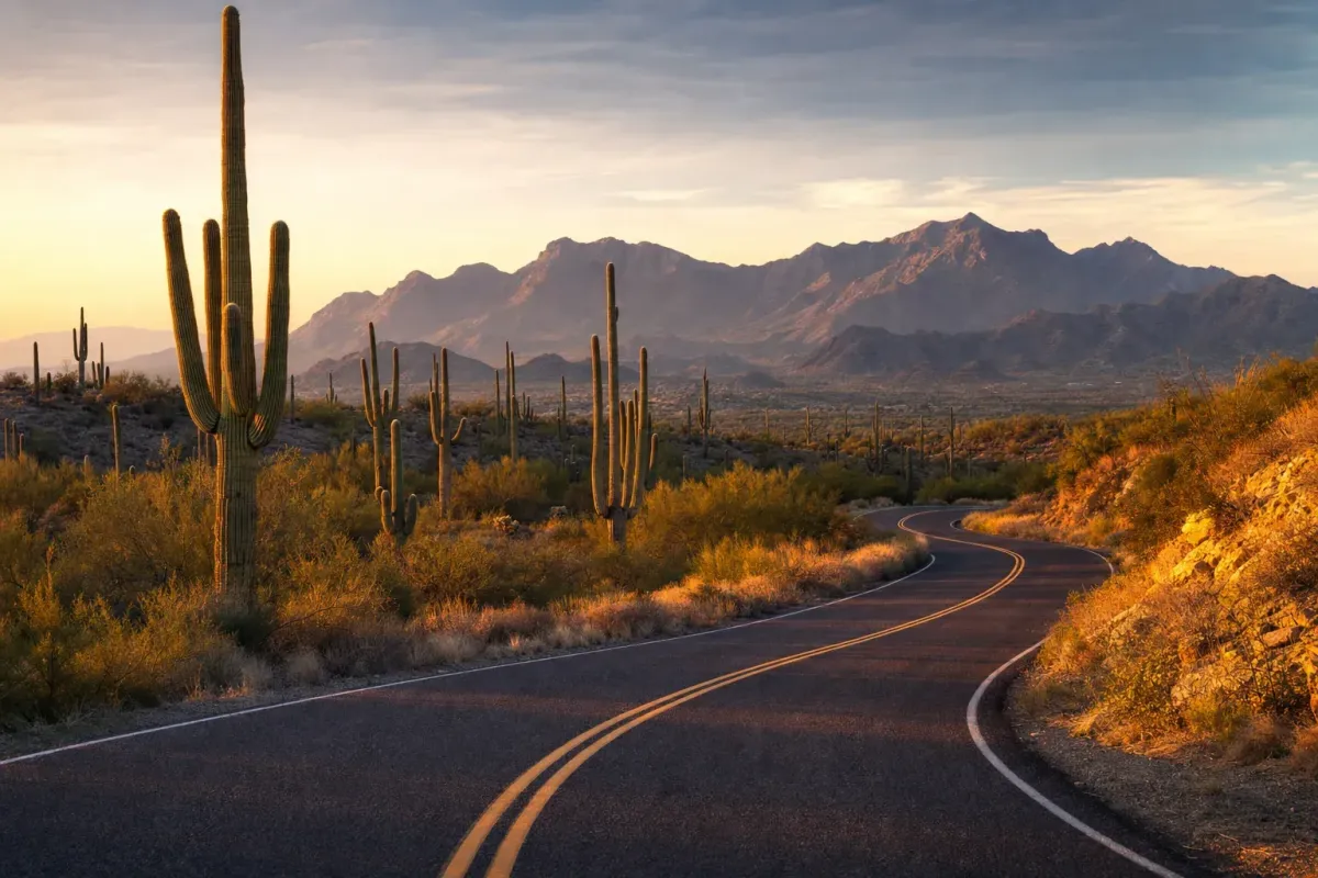 Sonoran Desert landscape with saguaros and a highway near Phoenix Arizona at golden hour