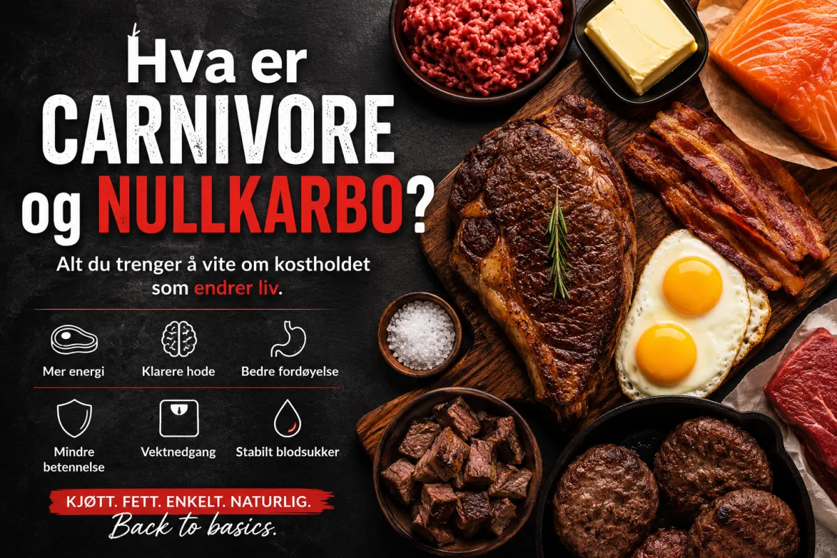 hva er carnivore