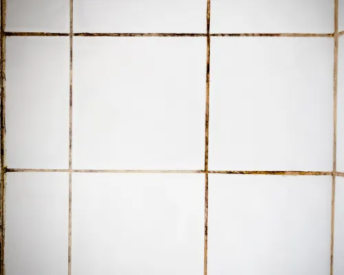 Monroe Tile & Grout Cleaning