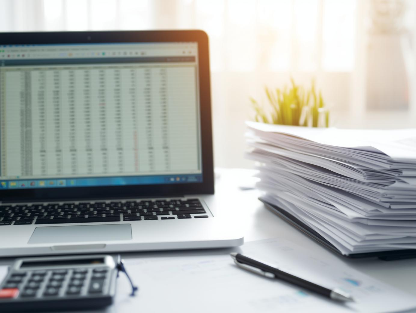 monthly financial transactions on a computer screen