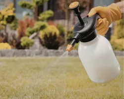 Weed Control in Edmonton