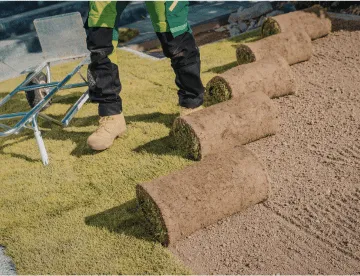 Sod Installation in Edmonton