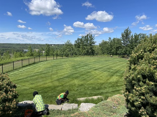 Sherwood Park Sod Installation