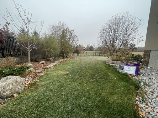 Weed Control Edmonton