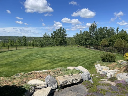 Lawn Mowing Edmonton