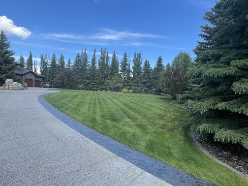 Lawn Mowing Edmonton