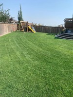 Lawn Mowing 