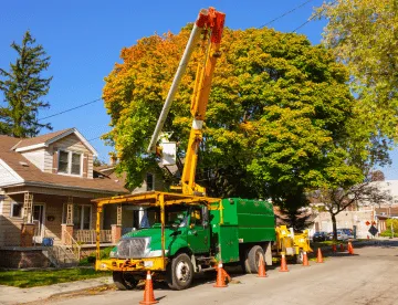 Sherwood Park Fall & Spring Clean Up
